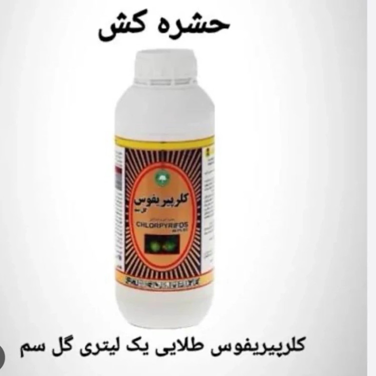 سم حشره کش کلر پیر یفوس قدرتمند