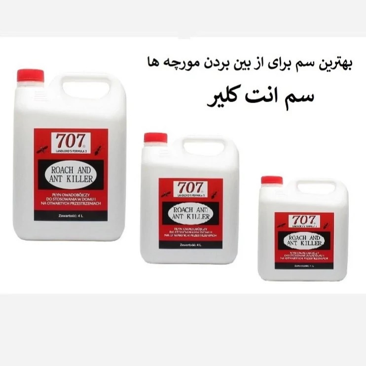 نابودی مورچه ها از خانه با بهترین سم انت کلیر