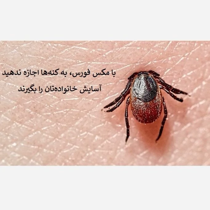 نابودی کامل کنه‌ها با سم مکس فورس