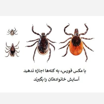 نابودی کامل کنهها با سم مکس فورس