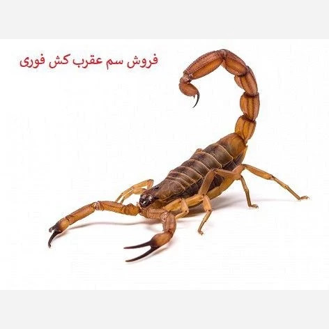 سم خارجی عقرب کش هاریس قدرتمند