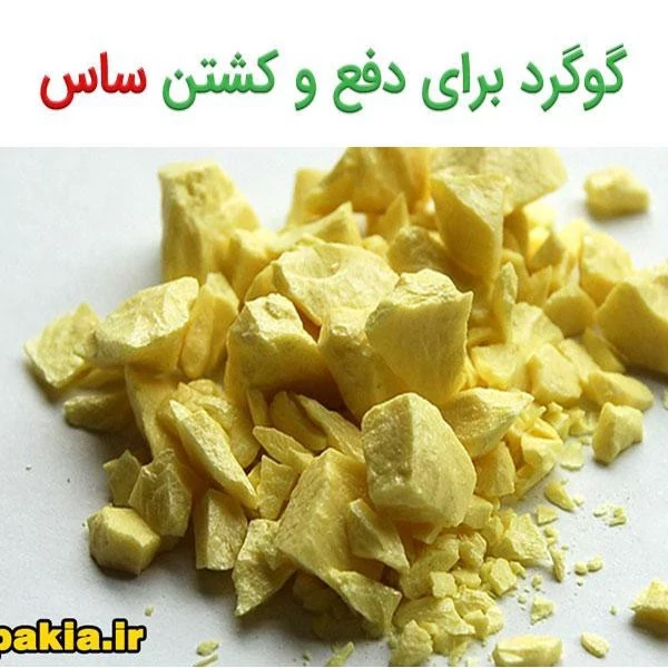 پودر گوگرد اصلی (قوطی550 گرمی)