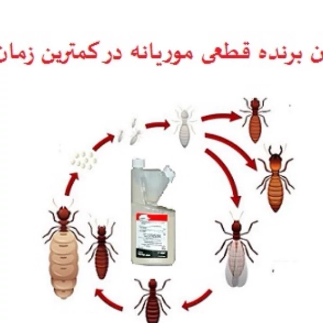 سم موریانه کش ترمیدور Termidor با ضمانت نسخه اورجینال ارسال رایگان