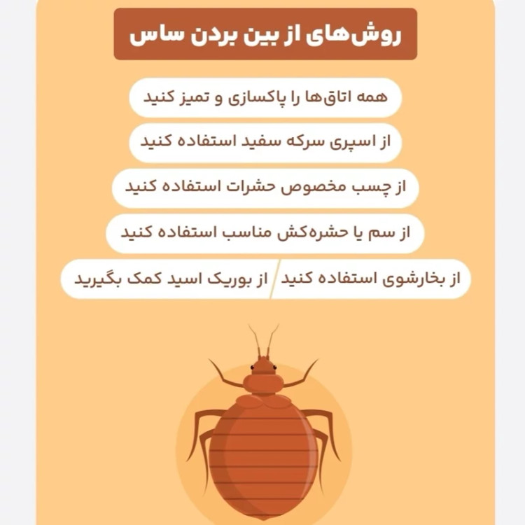 سم کشنده ساس پرومکس PROMAX هیولای مبارز ساس ها ارسال رایگان