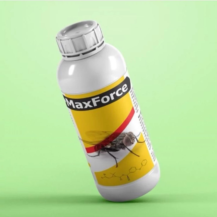سم قدرتمند مکس فورس MaxForce برای کنترل مگس ارسال رایگان به همراه یک عدد سمپاش سر نوشابه ای مدل 1