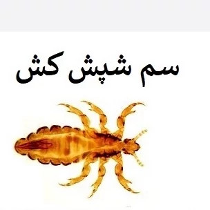 سم شپش کش پرمکترین ارسال رایگان