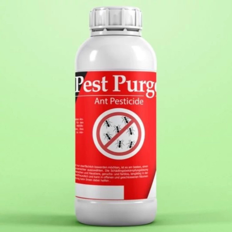 سم مورچه کش Pest Purge پست ارسال رایگان به همراه یک عدد سمپاش سرنوشابه ای