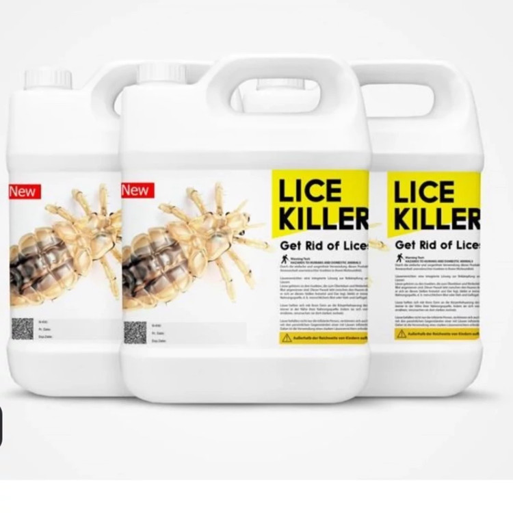 سم 4 لیتری عمده قدرتمند شپش Lice killer برای از بین بردن شپش ها ارسال رایگان به همراه یک عدد سمپاش سر نوشابه ای