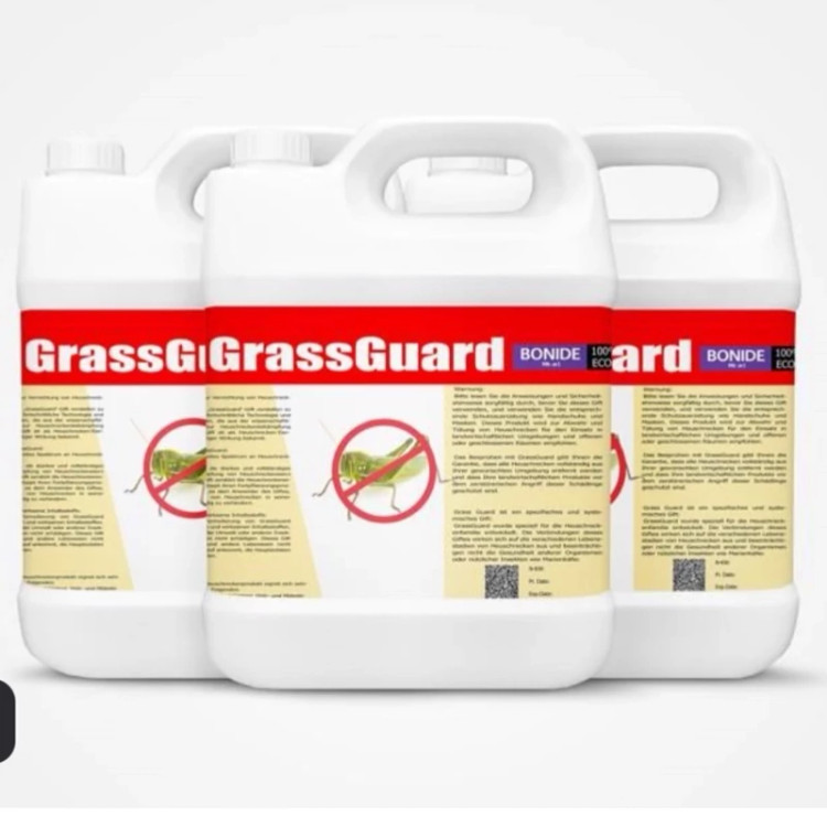 سم 4 لیتری عمده ریشه کنی ملخ - GrassGuard ارسال رایگان به همراه سم پاش سر نوشابه ای