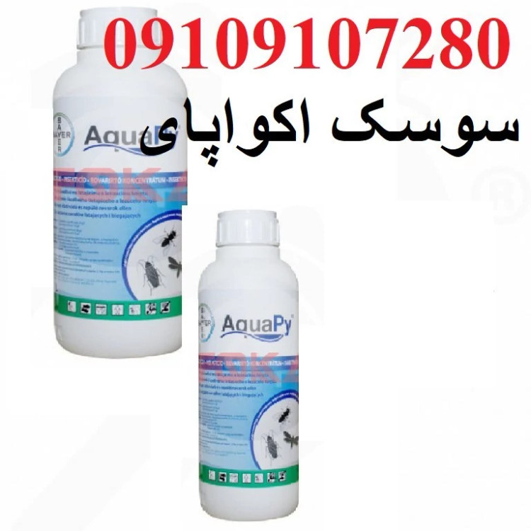 قوی و مؤثر جهت از بین بردن سوسک ها