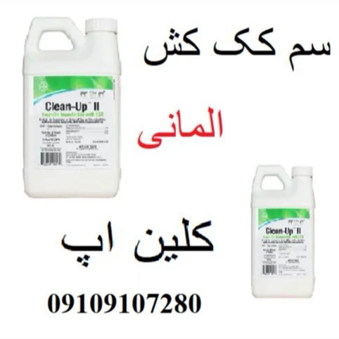 قوی ترین سم جهت از بین بردن کک ها
