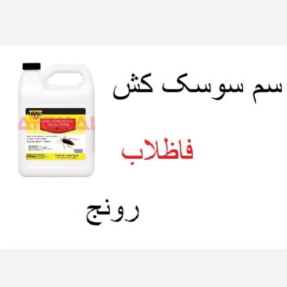 سمی قوی و مؤثر جهت از بین بردن سوسک ها