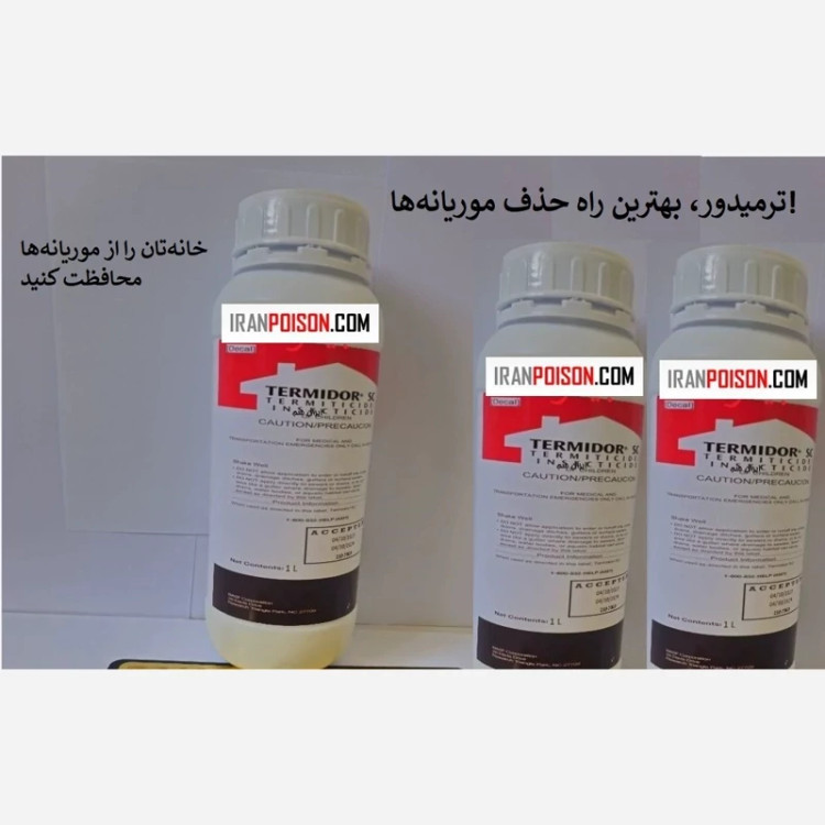 ترمیدور دشمن شماره یک موریانه