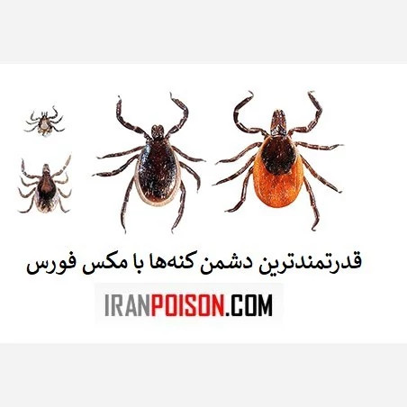 کنه را با یهترین سم مکس فورس نابود کن