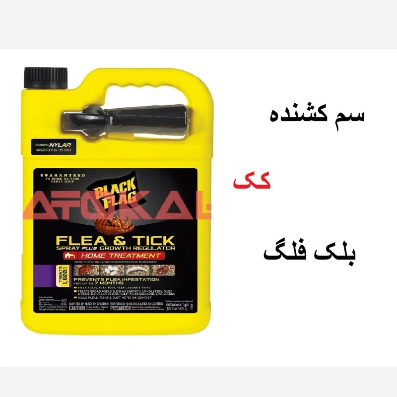 سم کشنده کنه کبوتری بلک فلگ