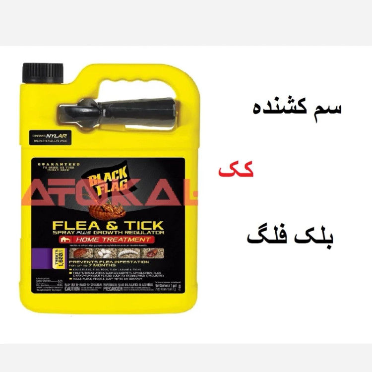 سم کشنده کنه کبوتری بلک فلگ