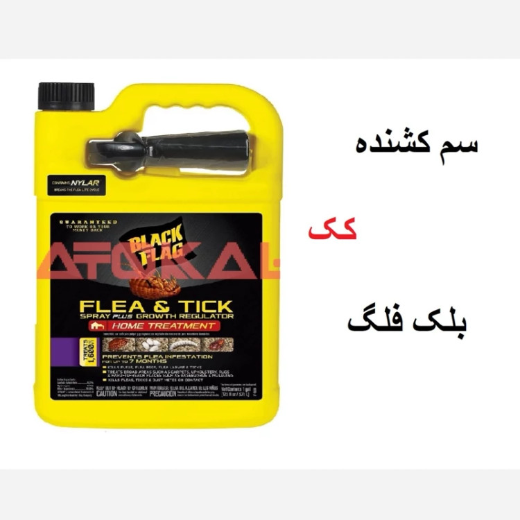 سم کشنده یک ماده سمی قوی کک بلک فلگ