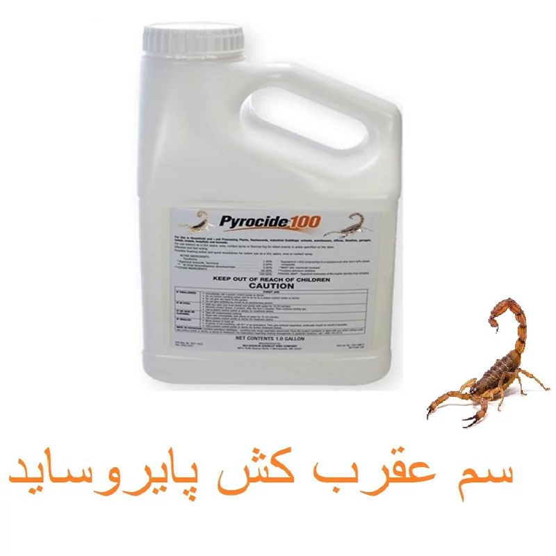 انواع عقرب های خطرناک