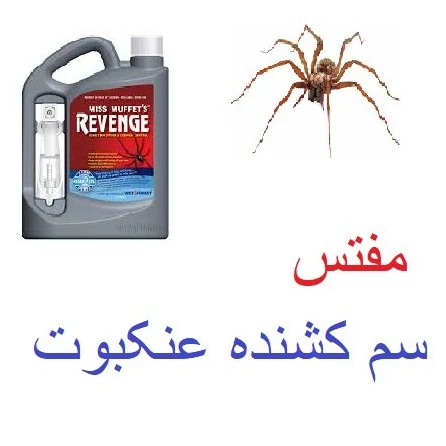 کشنده عنکبوت مفتس یک حشره کش