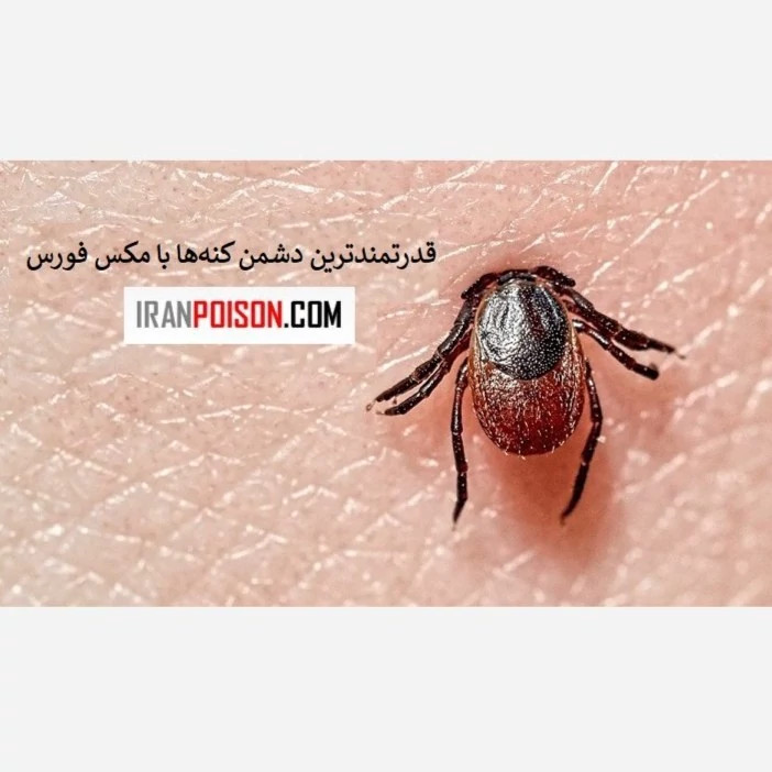 نابودی قطعی و قدرتمند کنه با مکس فورس