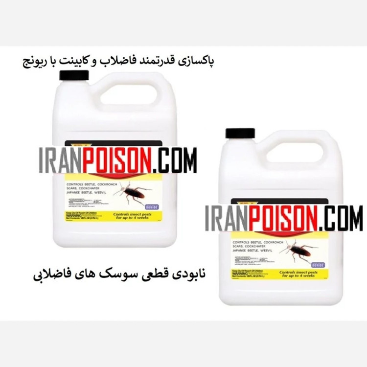 نابودی قطعی سوسک های فاضلابی با ریونج