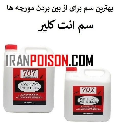 پایان مورچه‌ها با انت کلیر