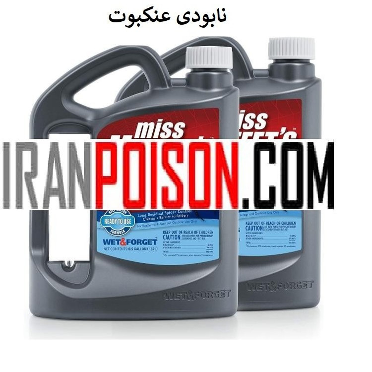 خانهای تمیز بدون هیچ عنکبوتی با مفتس