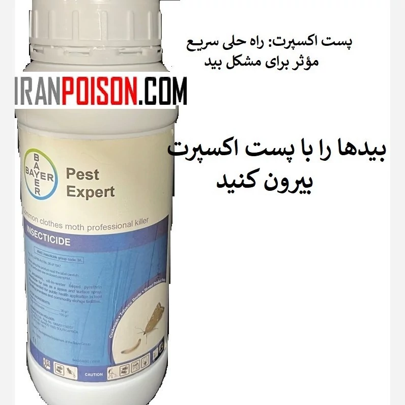اثری از بید نخواهد بود با پست اکسپرت