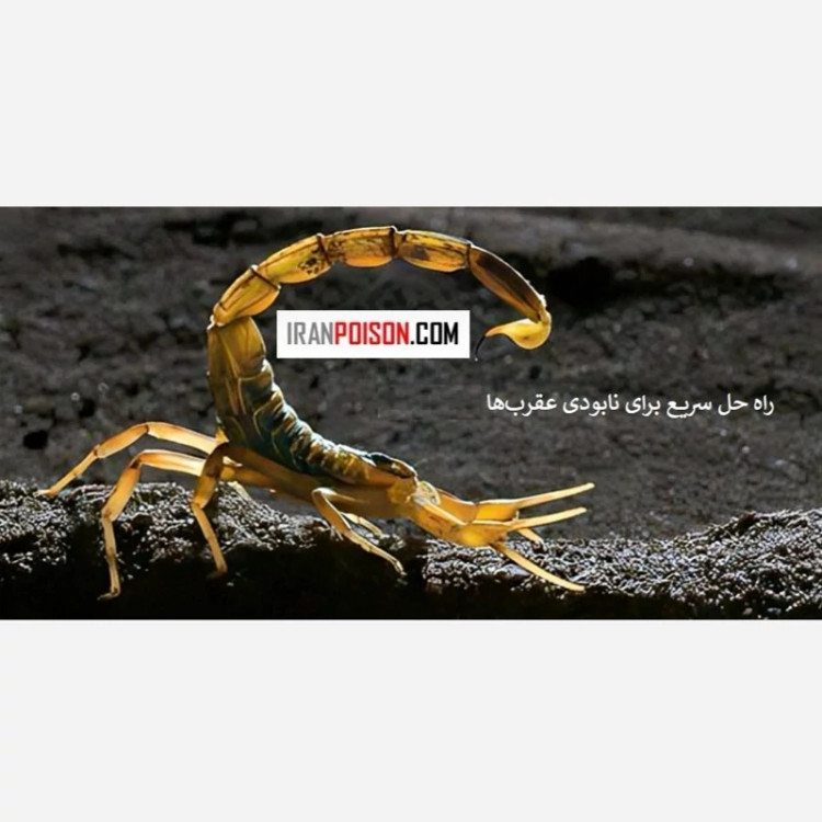 برای خانهای امن سم هاریس را امتحان کنید