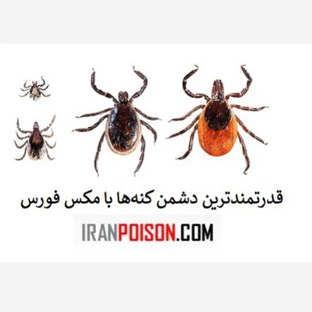 مکس فورس قدرتمندترین دشمن کنهها