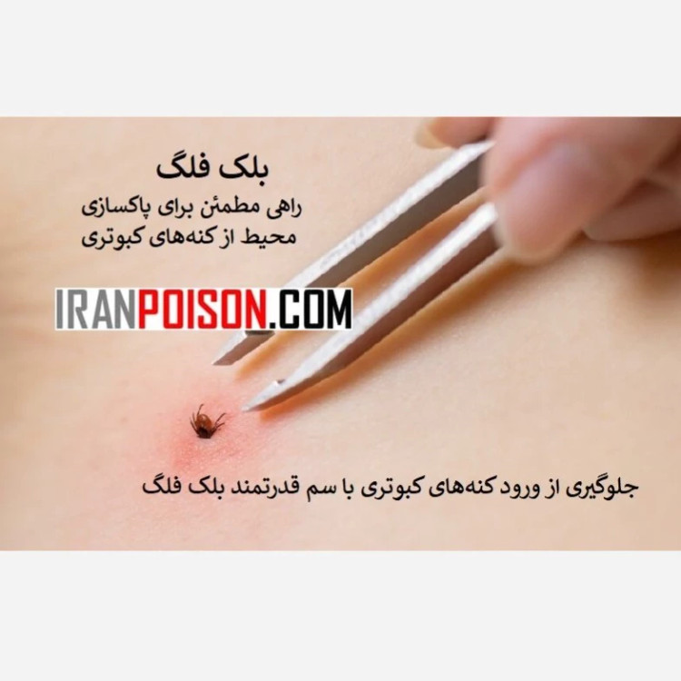 بلک فلگ سریع، مؤثر، بیدرنگ