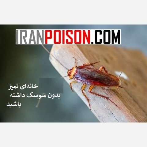 پاکسازی قدرتمند فاضلاب و کابینت با ریونج