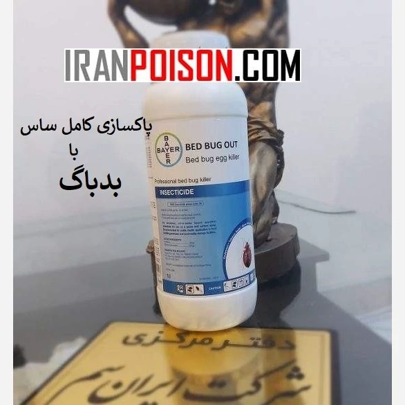 متخصص ریشه‌کن کردن ساس با بدباگ