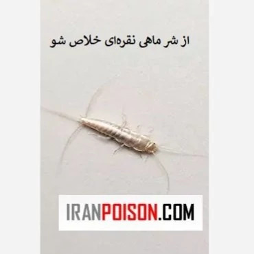از شر ماهی نقرهای خلاص شو با آکواپای