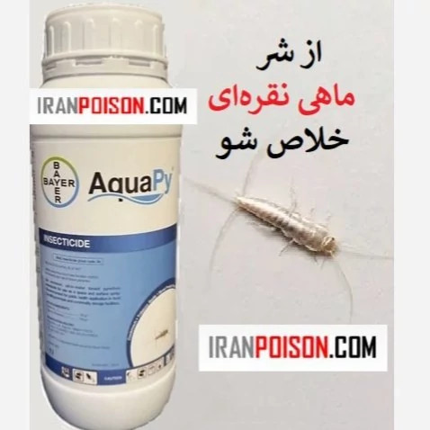 از شر ماهی نقرهای خلاص شو با آکواپای