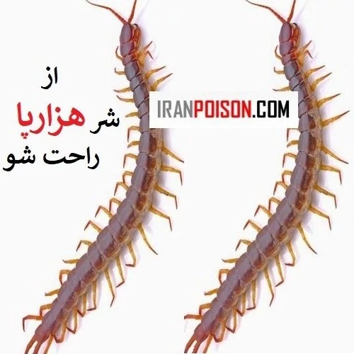 از شر هزارپا راحت شو با هاریس