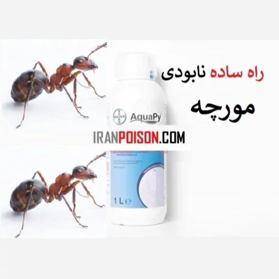 نابودی سریع و مؤثر مورچه با آکواپای