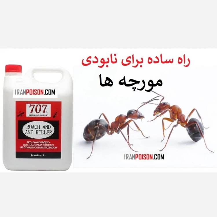 خانهای بدون مورچه با انت کلیر