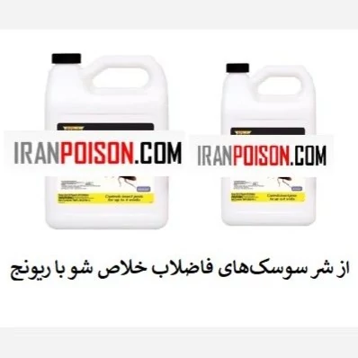 از شر سوسک‌های فاضلاب خلاص شو با ریونج