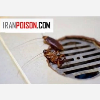 از شر سوسکهای فاضلاب خلاص شو با ریونج