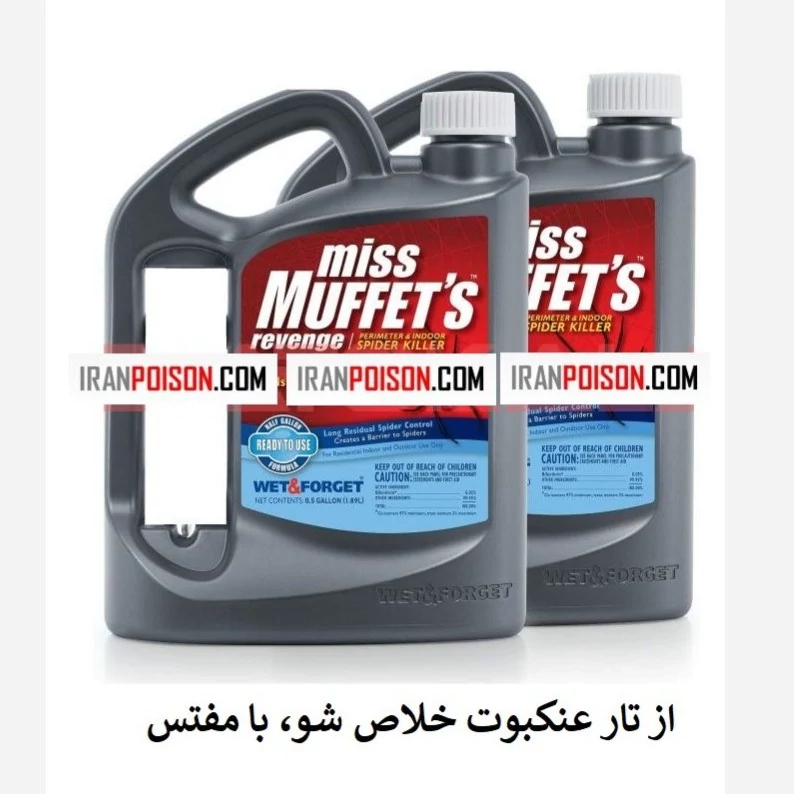 از تار عنکبوت خلاص شو با مفتس