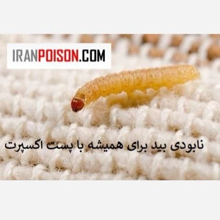 نابودی بید برای همیشه با پست اکسپرت