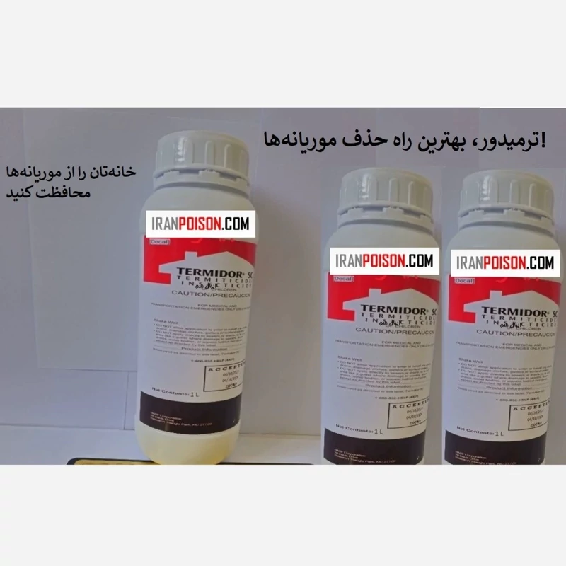 بهترین راه حذف موریانه‌ها با ترمیدور
