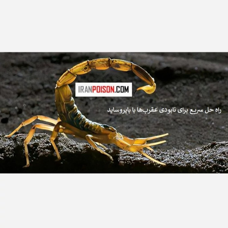 سم قوی برای نابودی عقربها هاریس