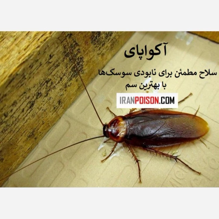 سوسککش قدرتمند با آکواپای
