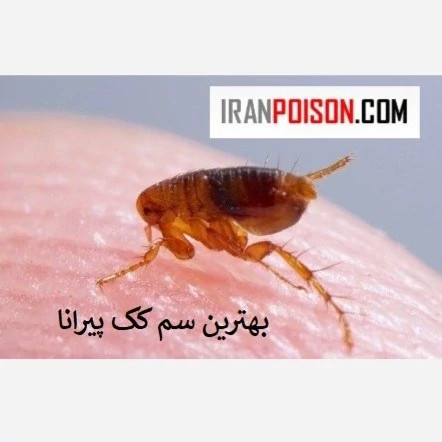 نابود کک ها با پیرانا(وارداتی بیاتوکالا)