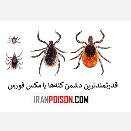 قدرتمندترین دشمن کنهها با مکس فورس