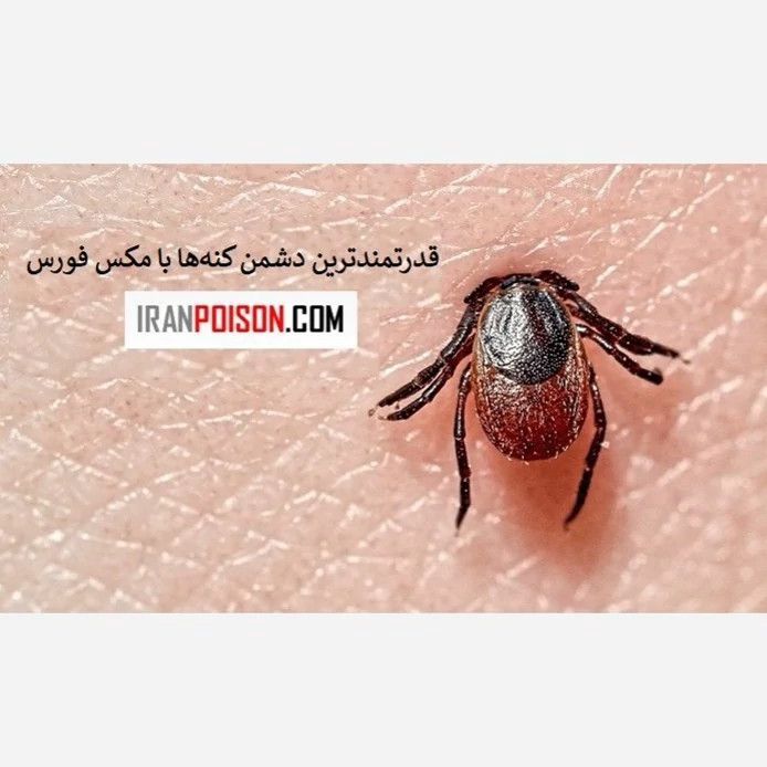 قدرتمندترین دشمن کنهها با مکس فورس