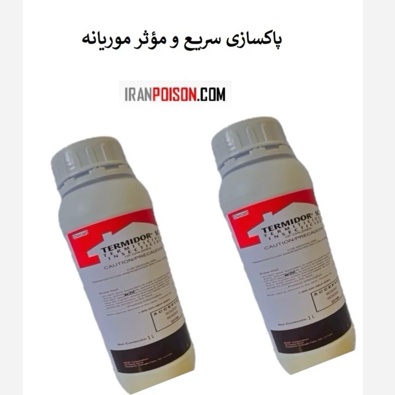 پاکسازی سریع و مؤثر موریانه با ترمیدور