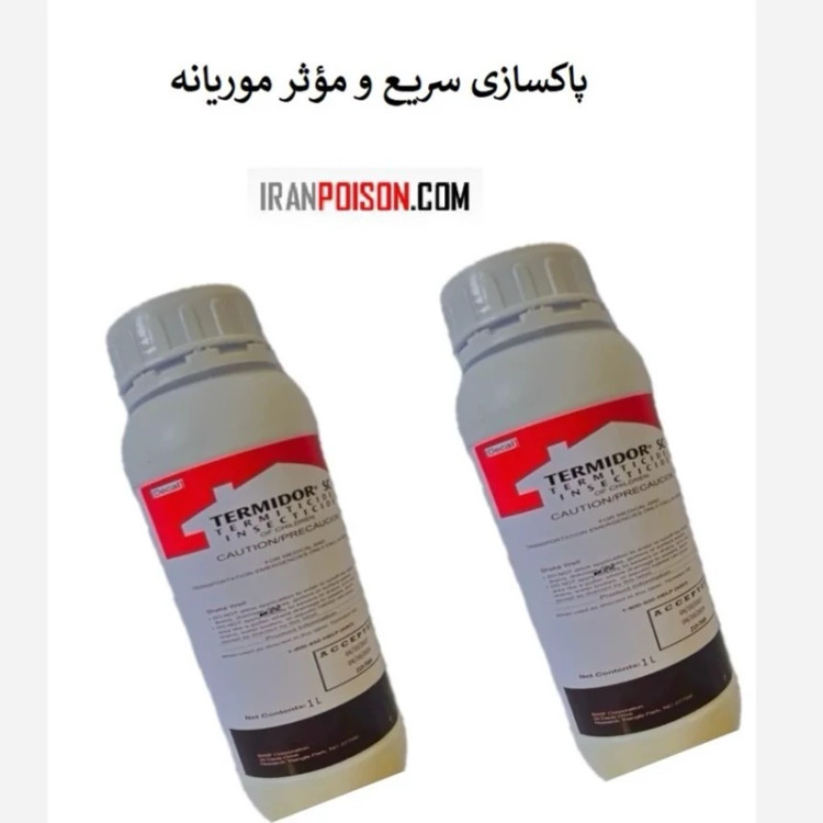 پاکسازی سریع و مؤثر موریانه با ترمیدور